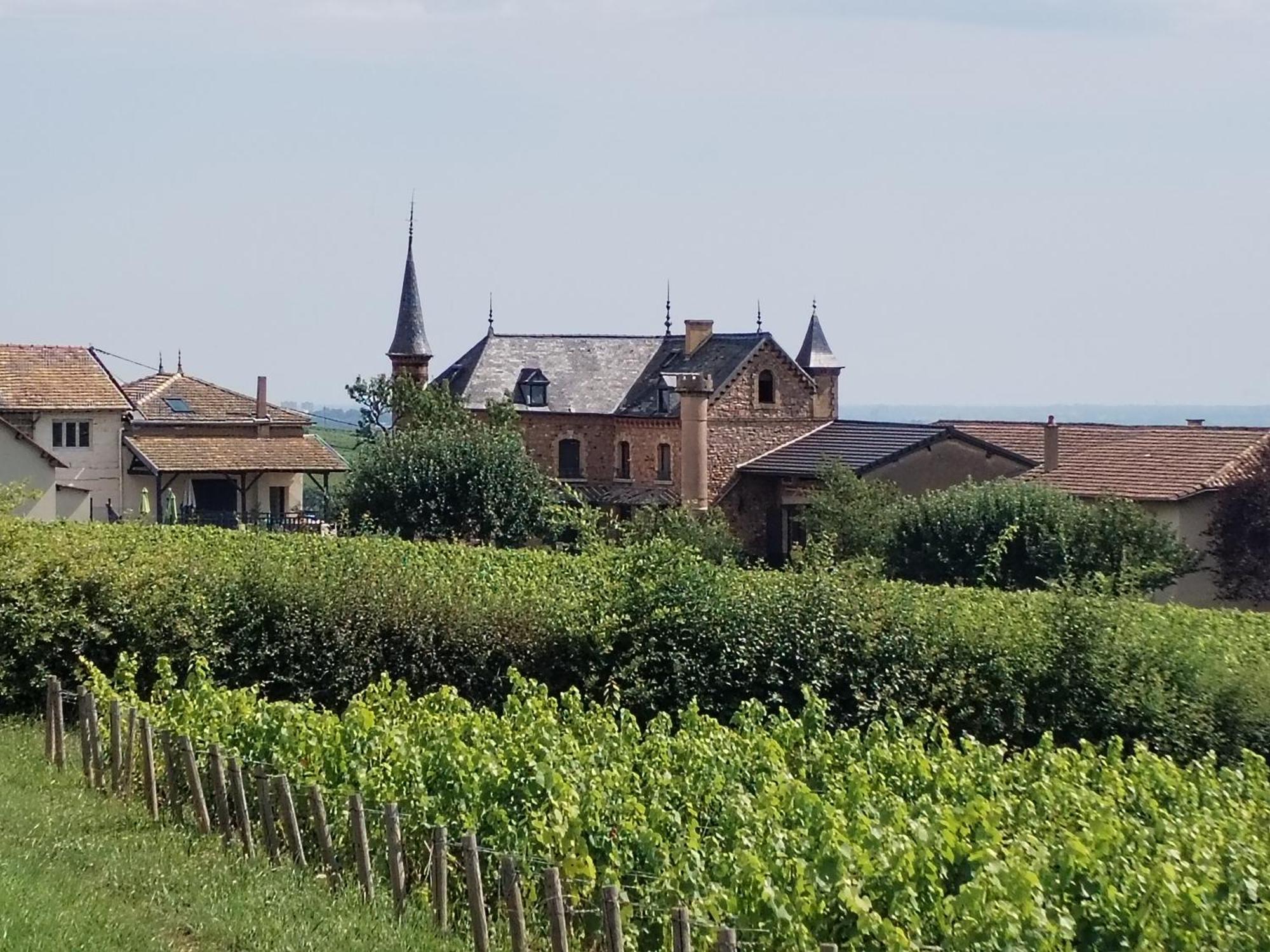 Le Petit Chateau De Sathonat - Horizon Paradis Saint-Amour-Bellevue Buitenkant foto